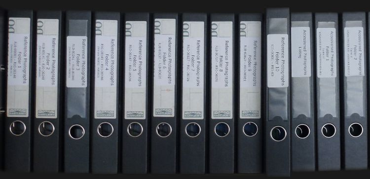 reference collection