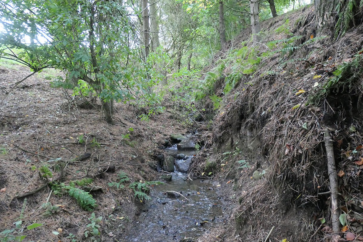 Ballencrieff 2