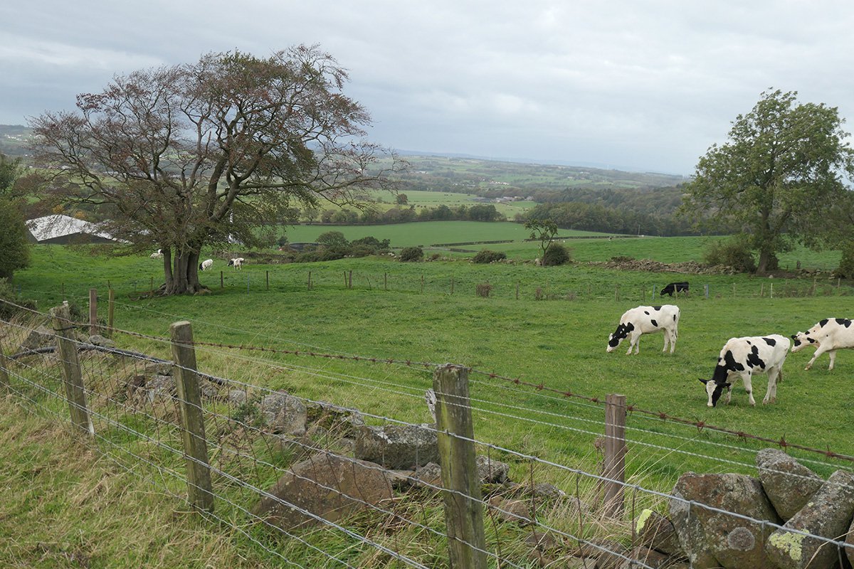 Ballencrieff 4
