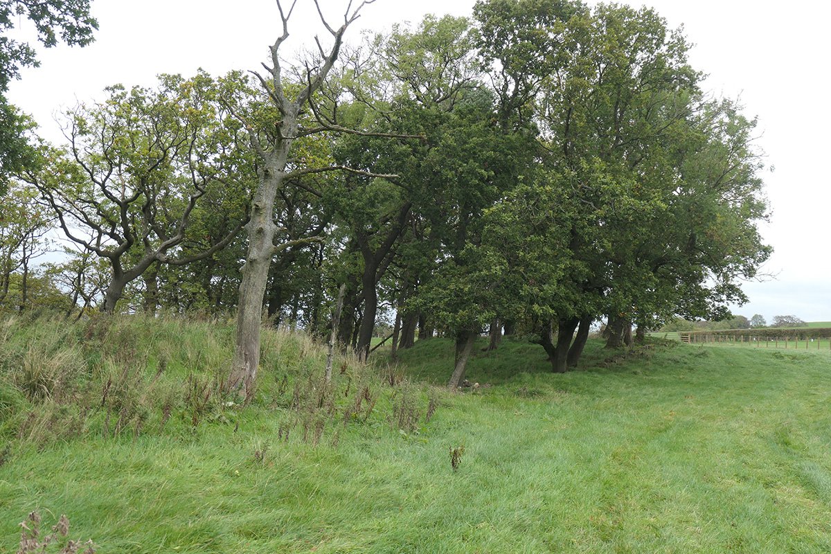 Ballencrieff 7