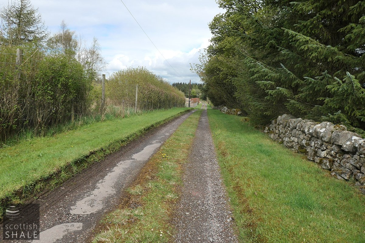 Camilty bridge 5.png