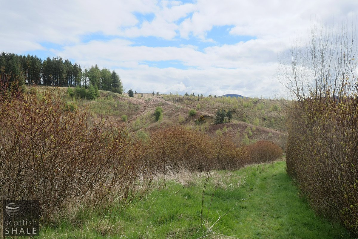 Camilty bridge 7.png