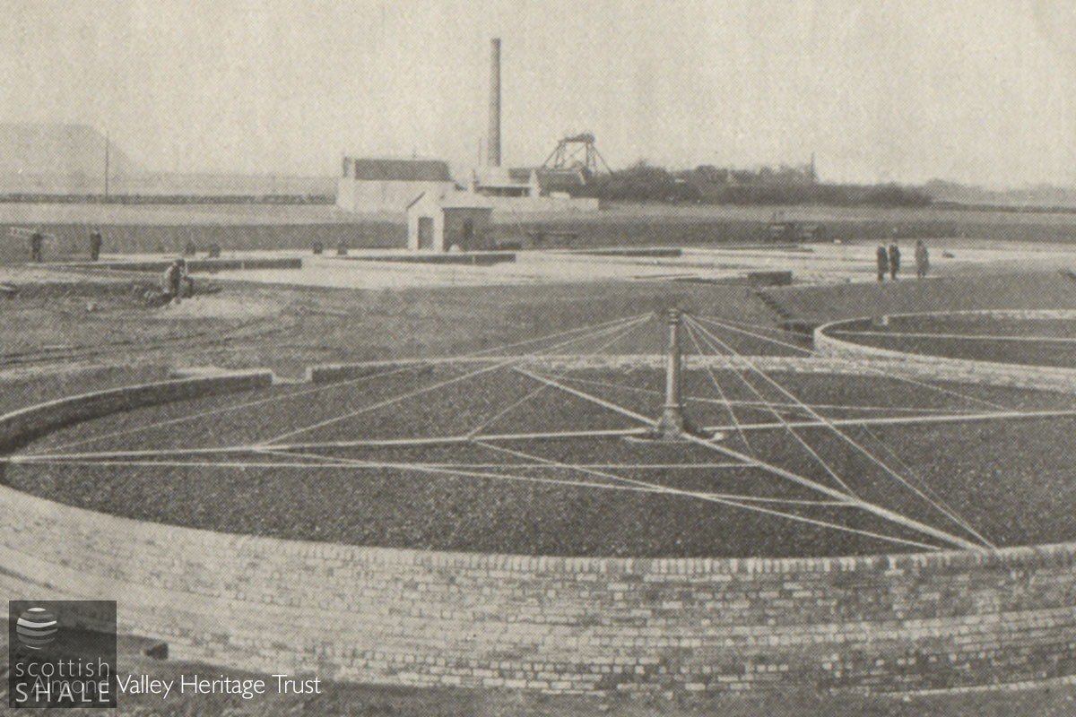 F19020-01.jpg
