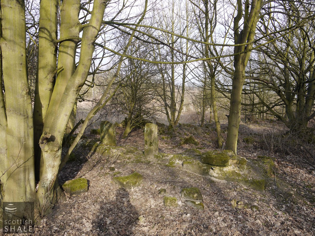 High Binn housing  56° 4'18.62N3°13'17.11W 011.jpg
