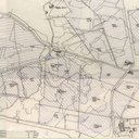 LVSAV1984.042.jpg