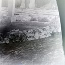 LVSAV1992.019.181.jpg