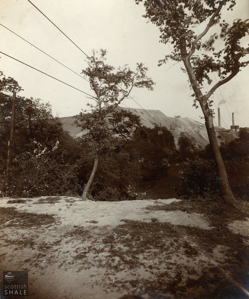 LVSAV1998.046.008.jpg