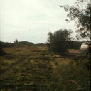 LVSAV2009.029.035.jpg