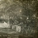 LVSAV2011.037.jpg