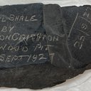 LVSAV2022.067.087