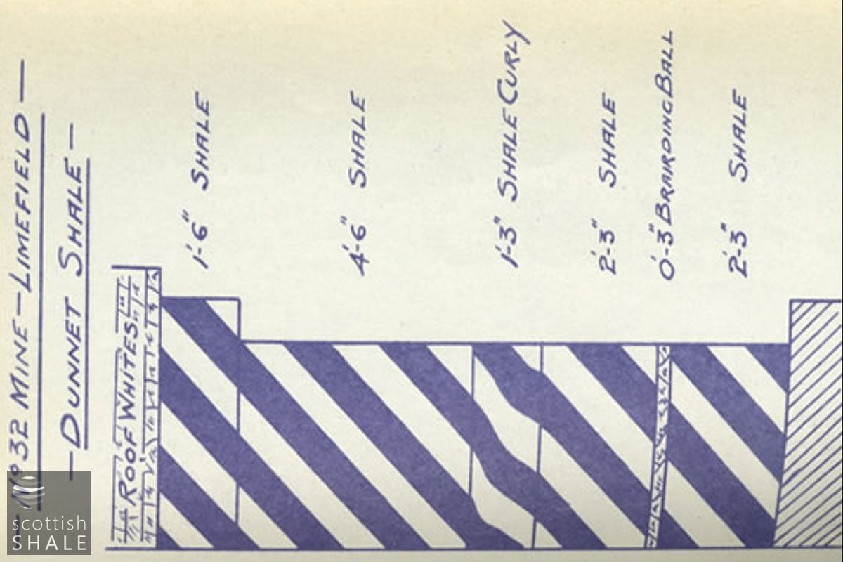 Limefield32mineDRAWING1.jpg