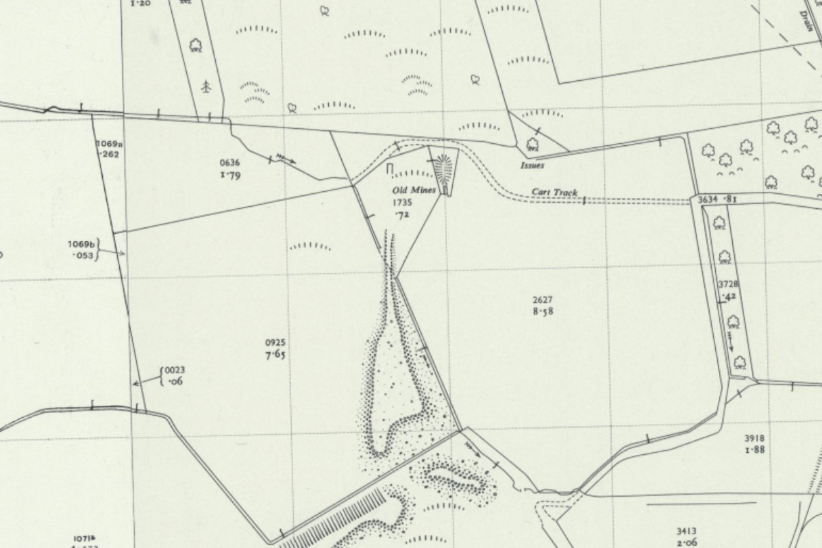 Muckraw 1956