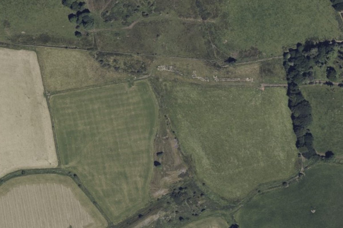 Muckraw aerial