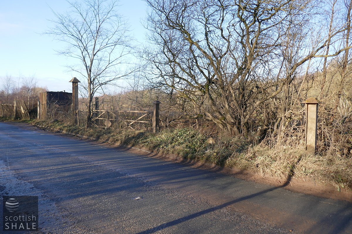 P1000522.jpg