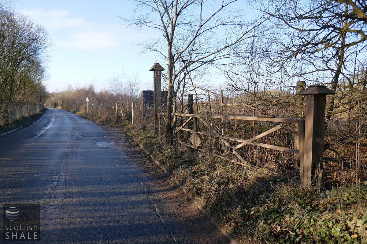 P1000523.jpg