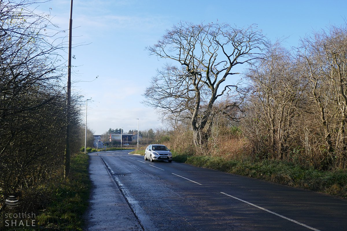P1000530.jpg