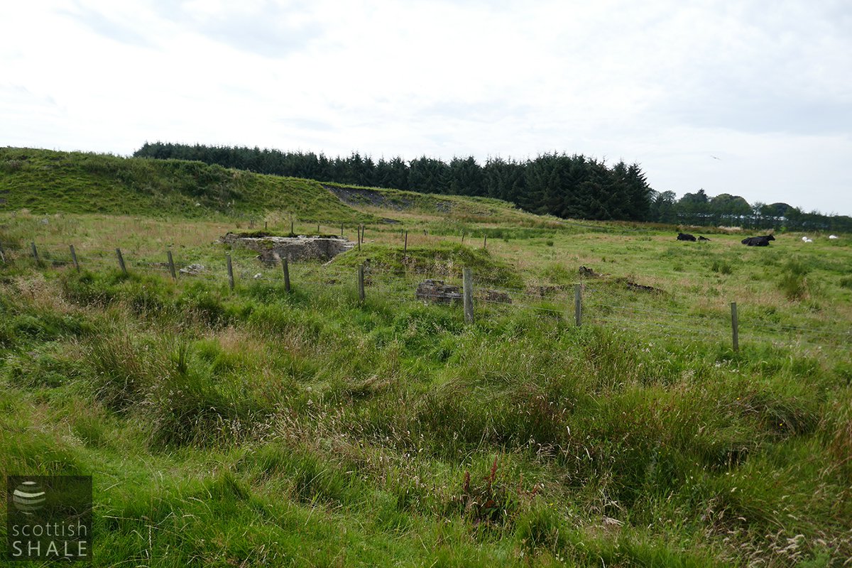 P1000562.jpg