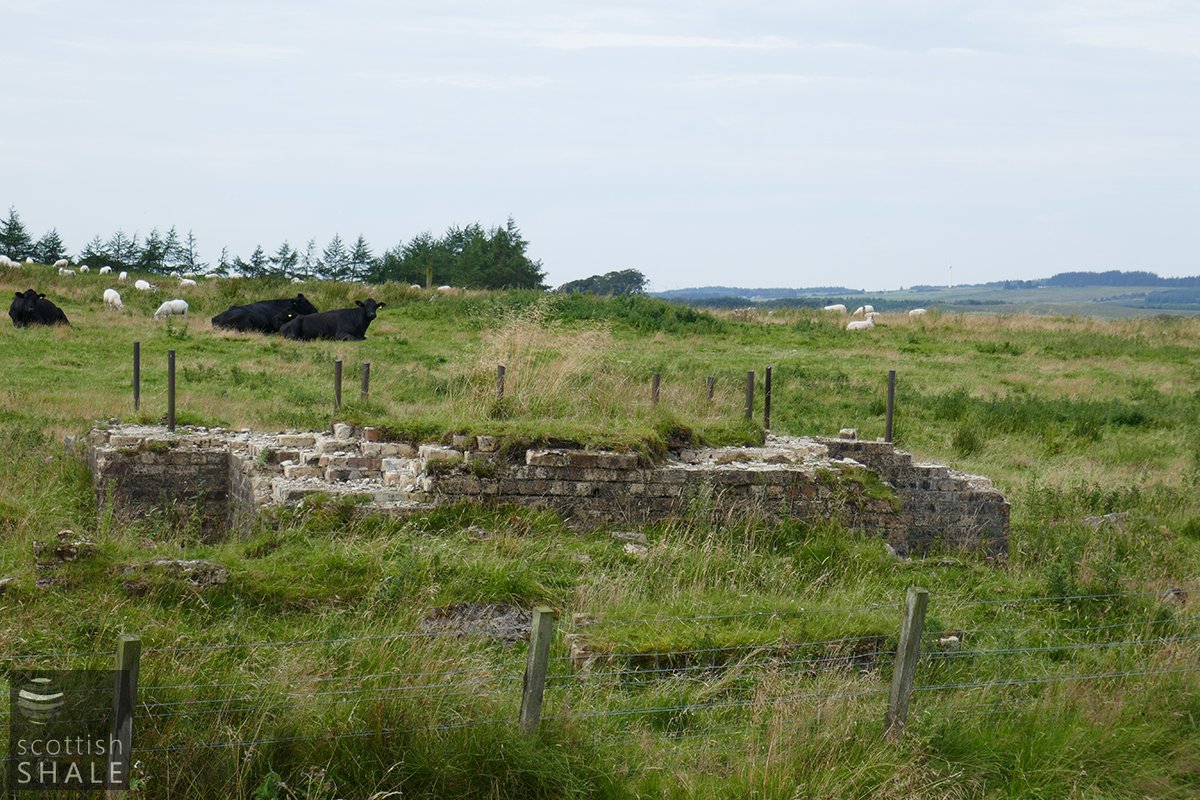 P1000566.jpg