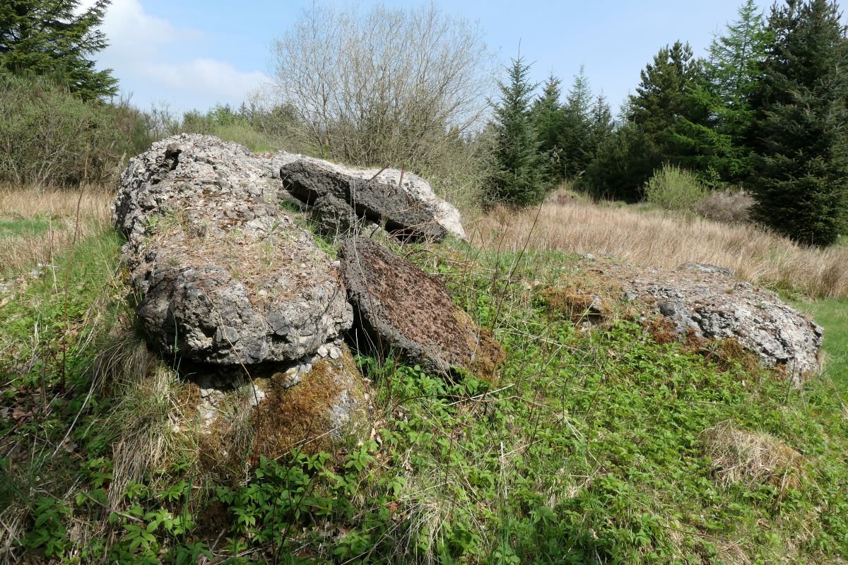 P1000678