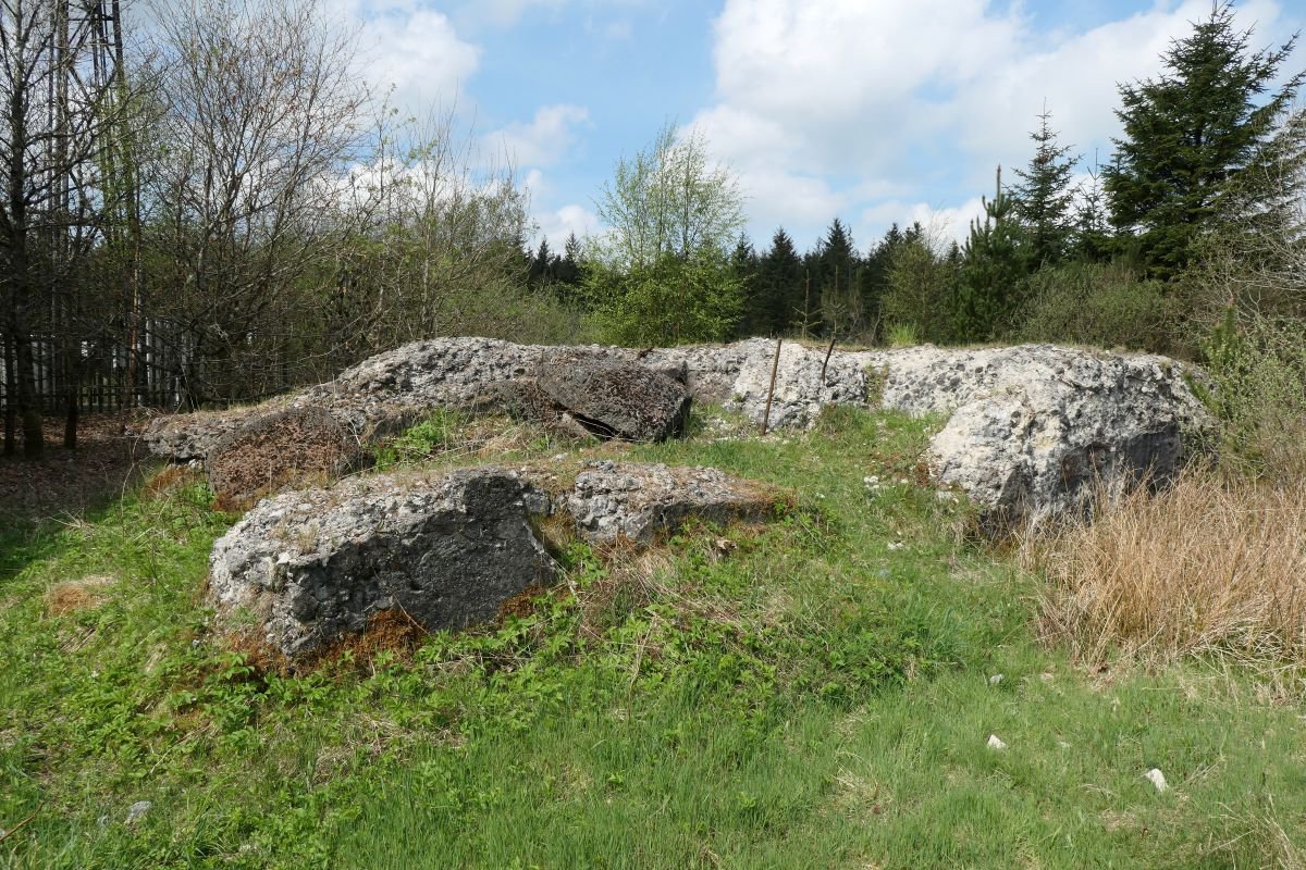 P1000679