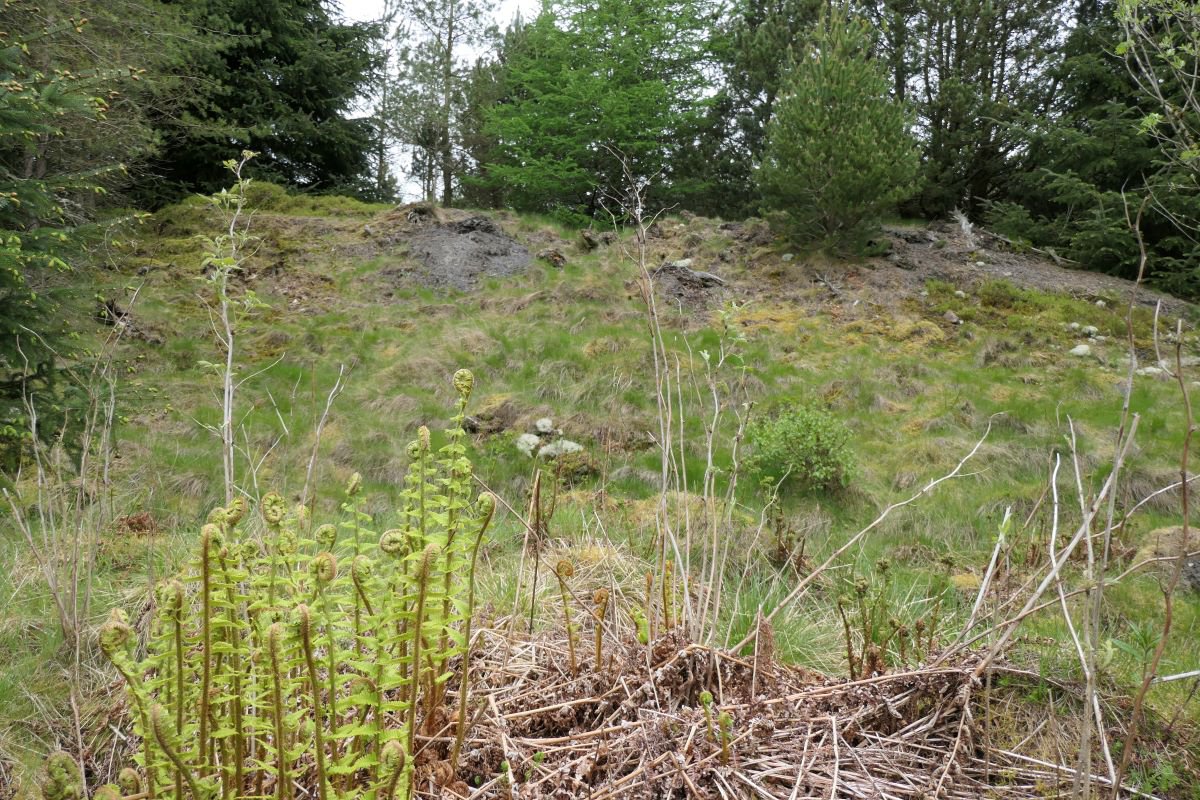 P1000695