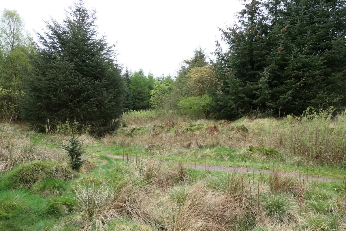 P1000696