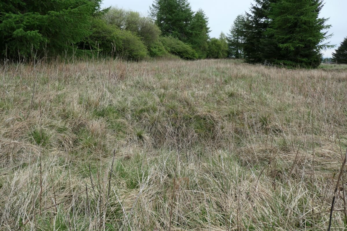 P1000706