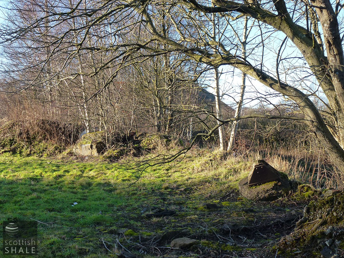 P1000780.JPG