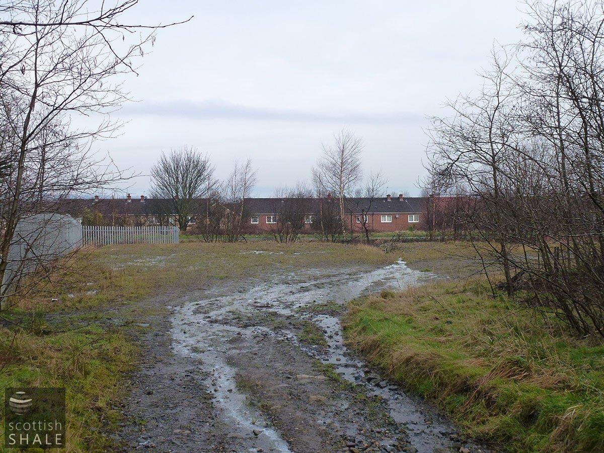 P1000813.JPG