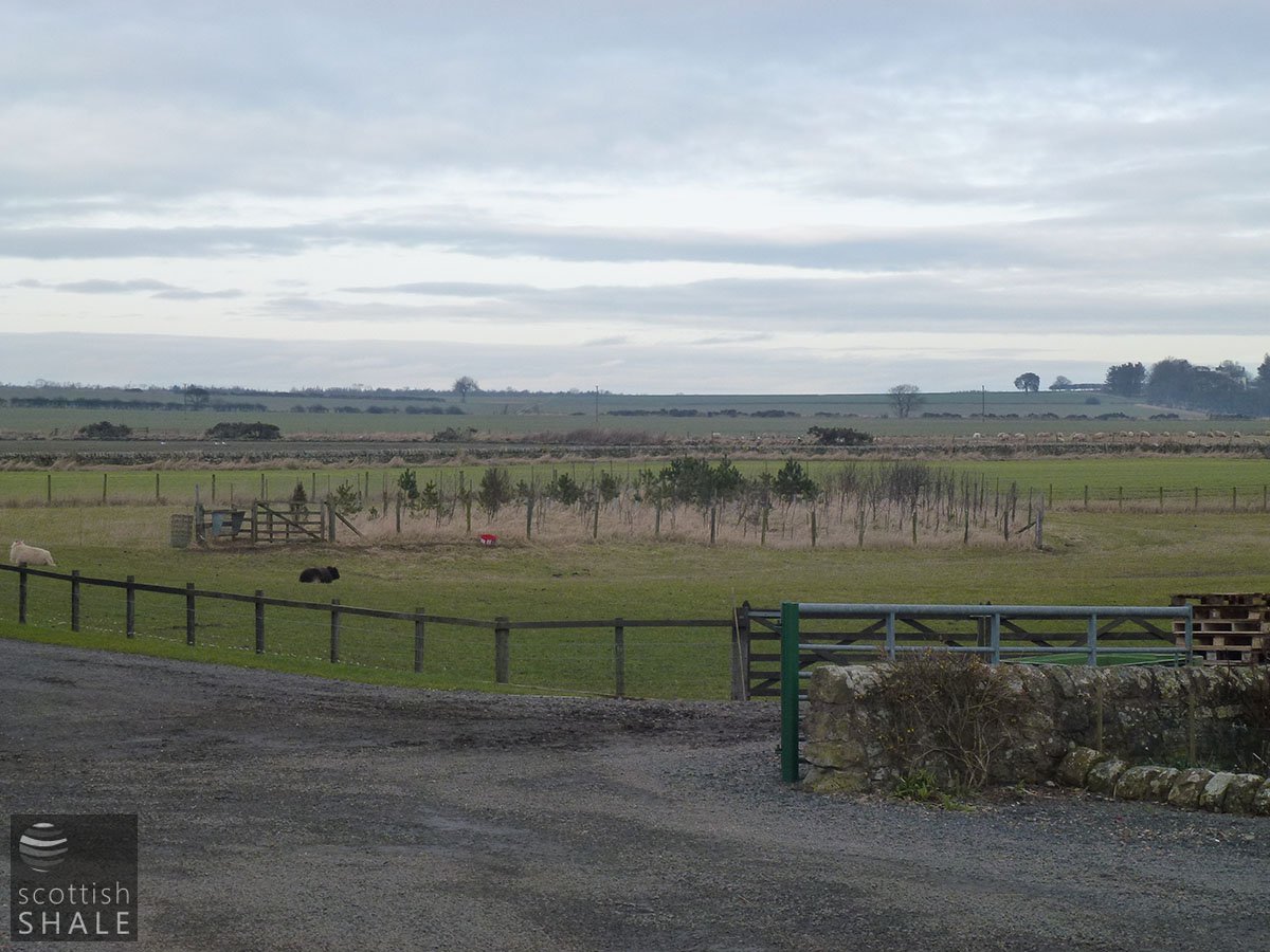 P1000835.JPG