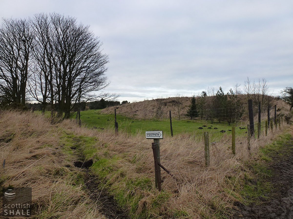 P1000845.JPG
