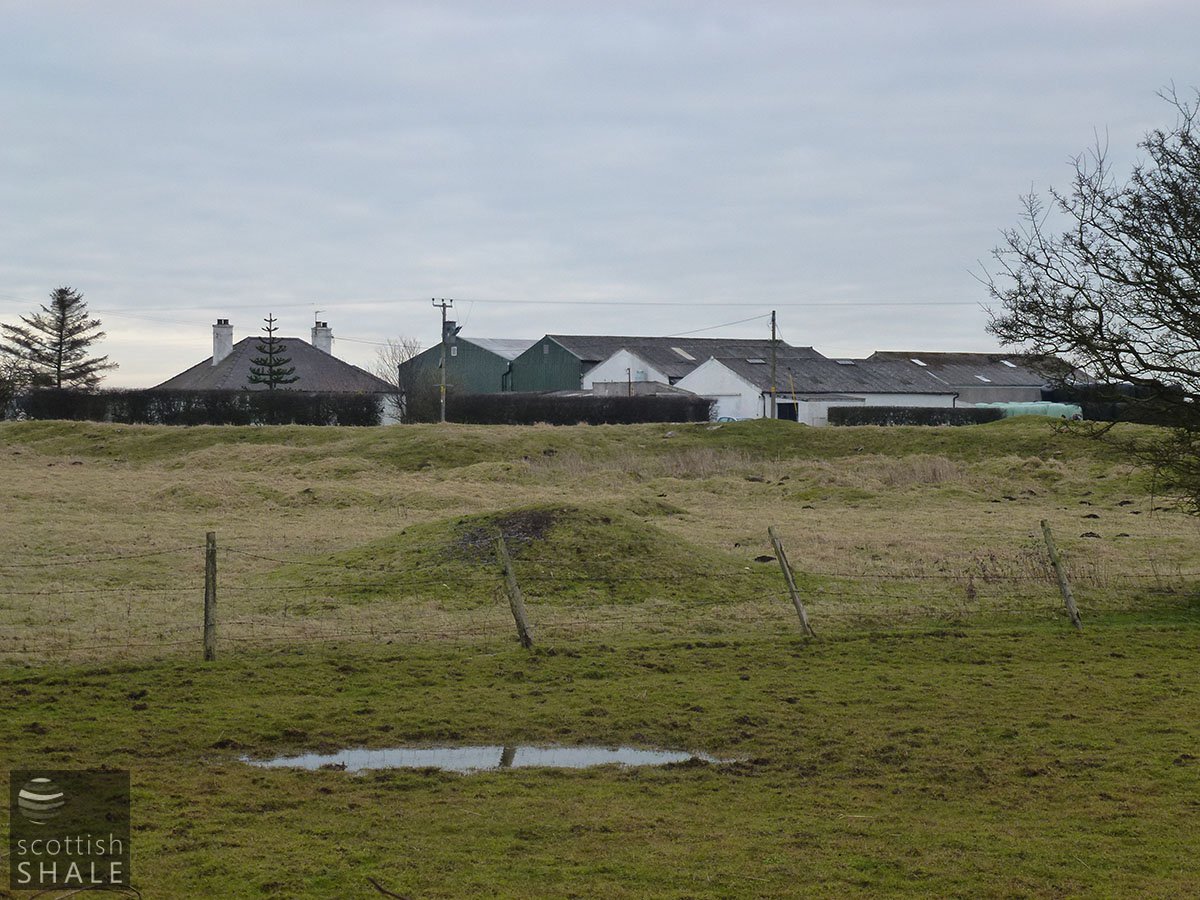 P1000853.JPG