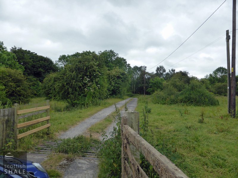 Coppa oil works, looking south west from the site entrance. Retorts were located either side of the road. June 2014