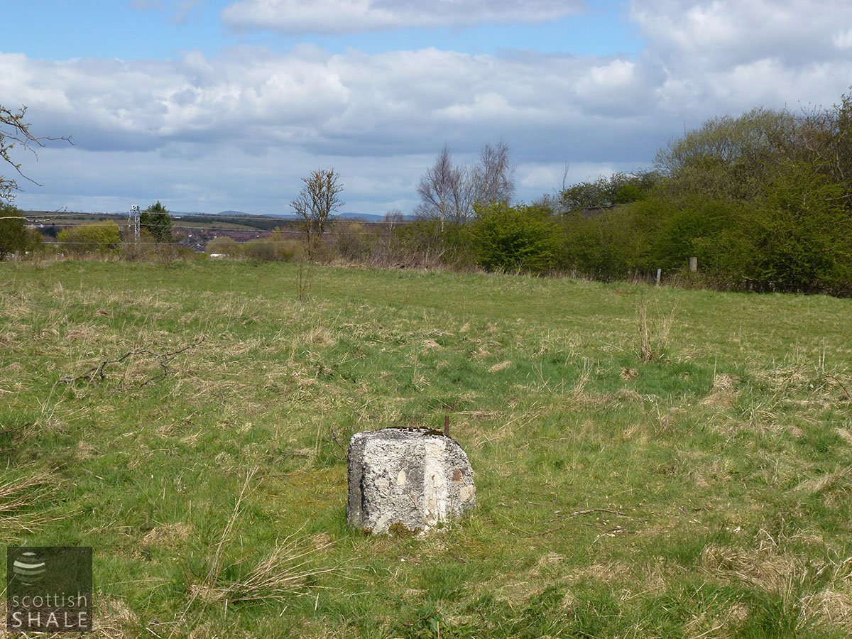 P1010357.JPG