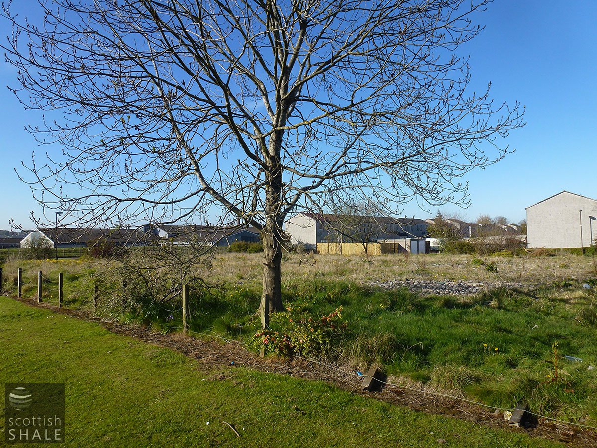 P1010517.JPG
