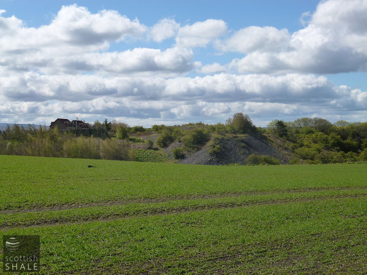 P1010588.JPG