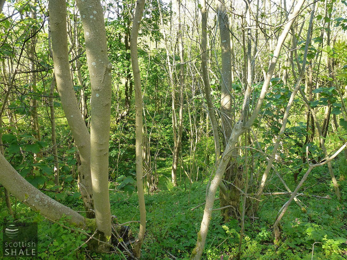 P1020006.JPG