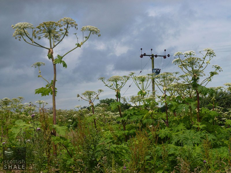 P1020117.JPG