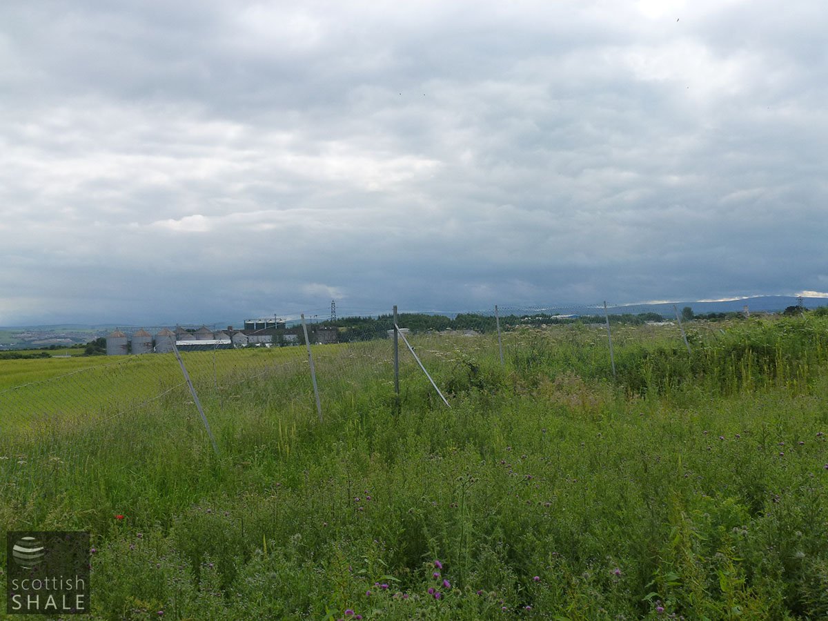 P1020149.JPG
