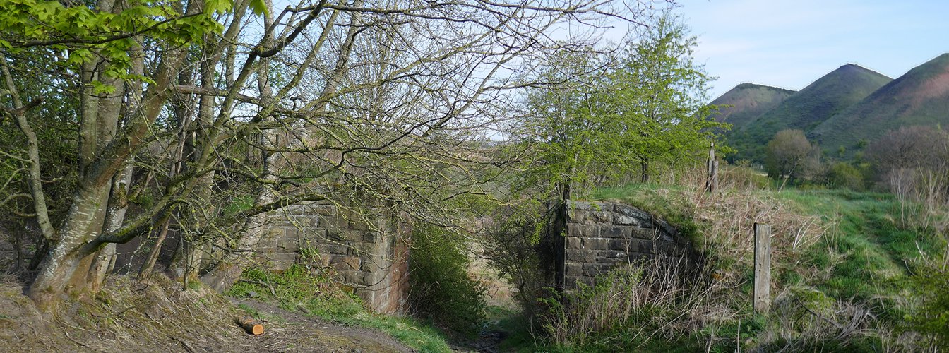 P1020209.jpg