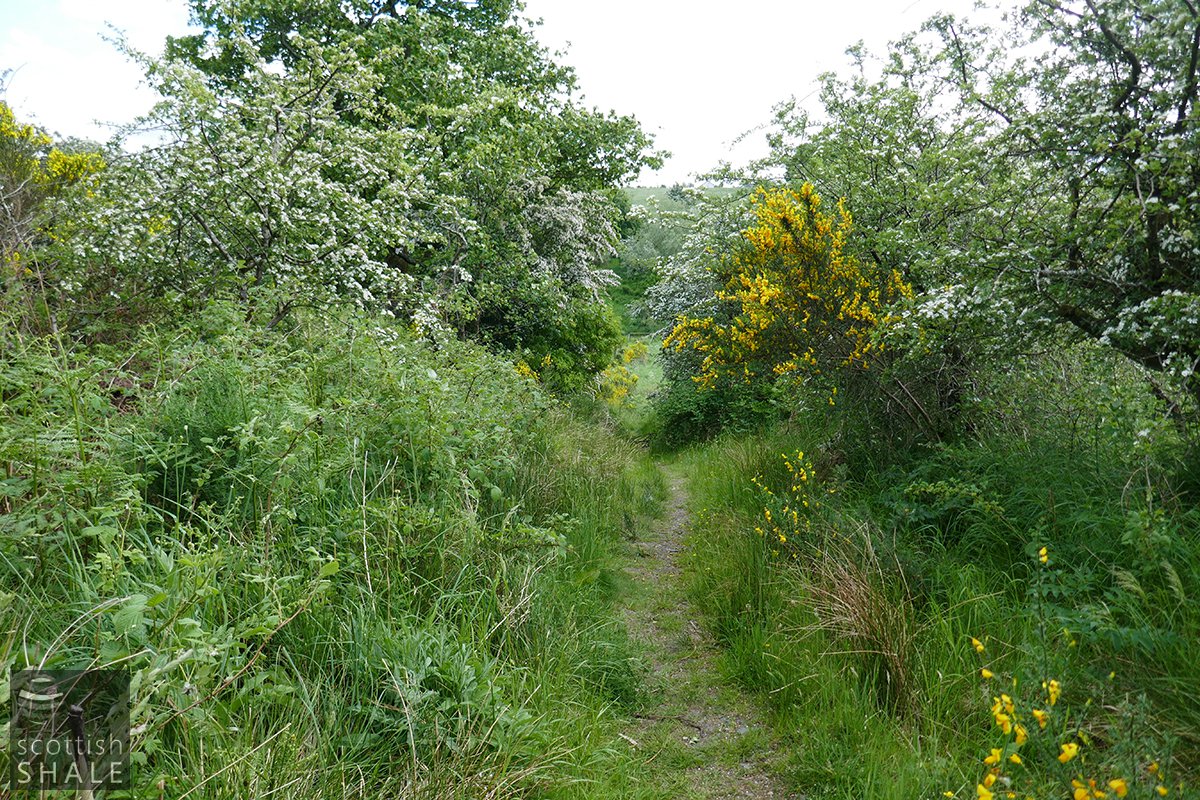 P1020715.jpg