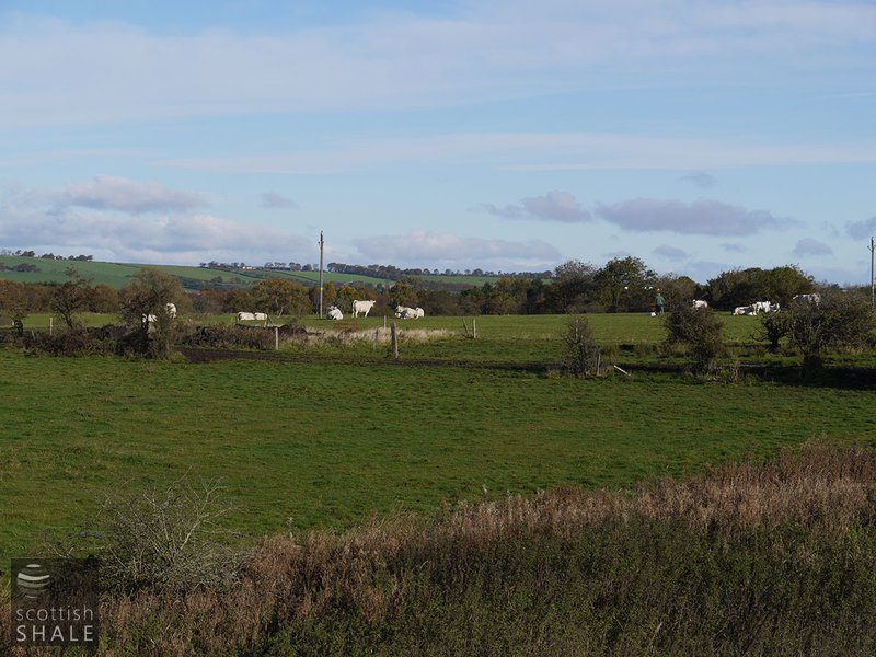 P1020945.JPG
