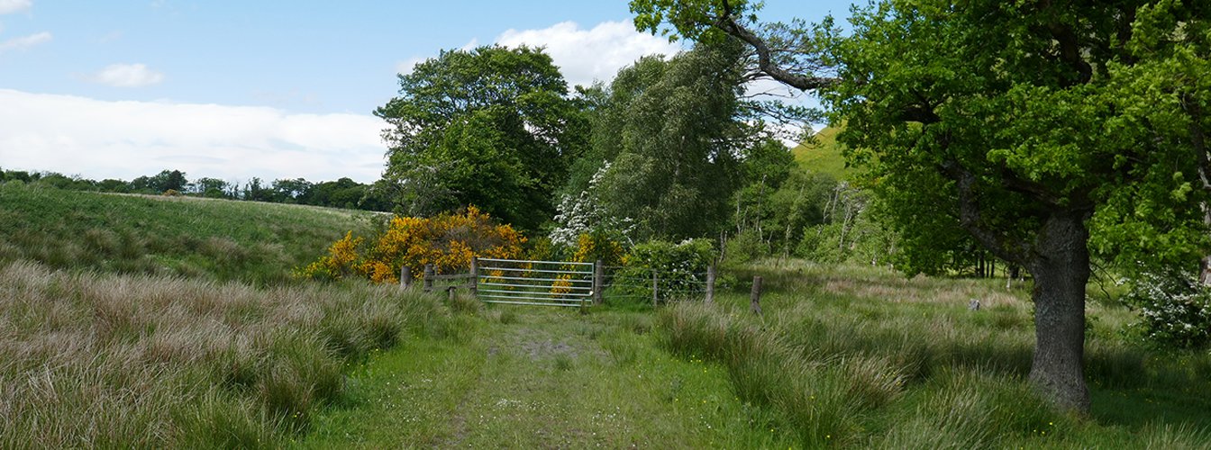 P1030687.jpg
