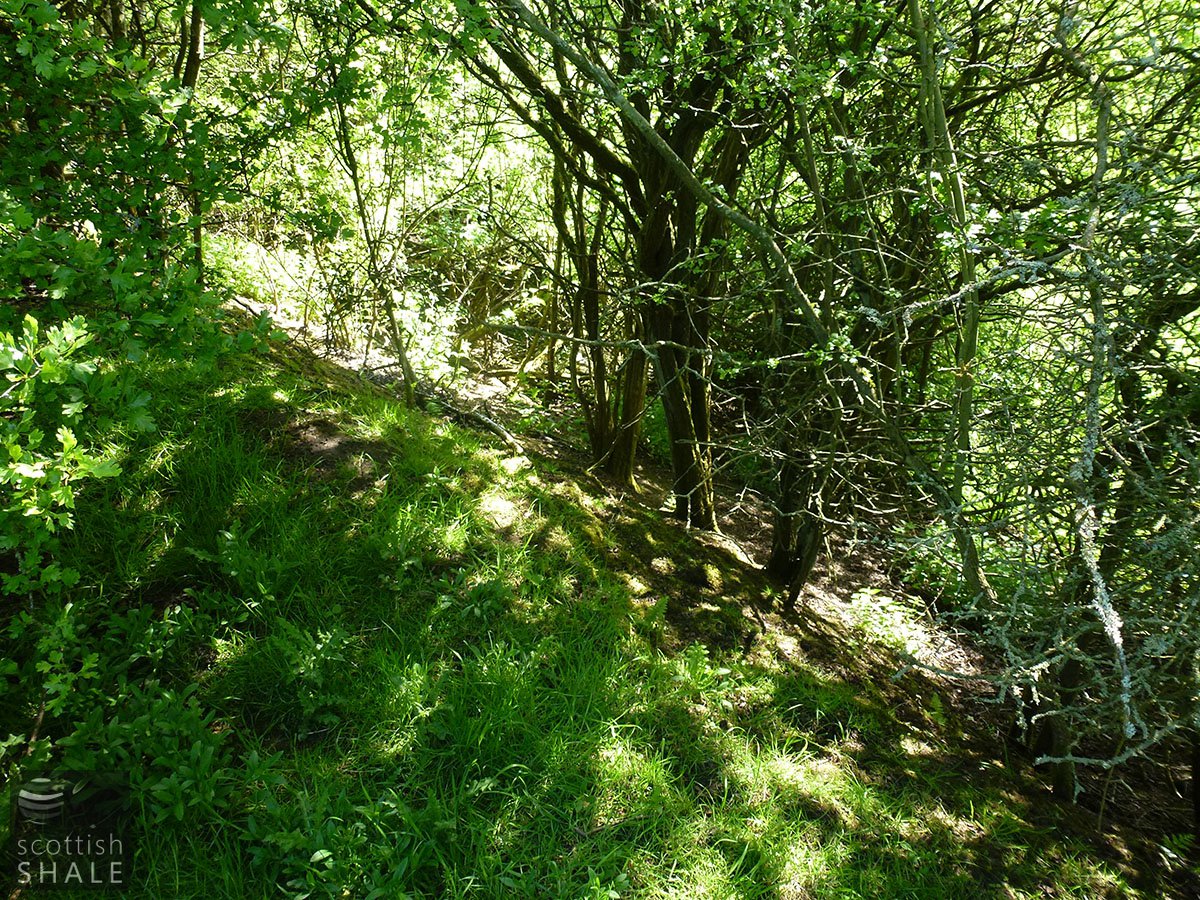 P1030931.JPG
