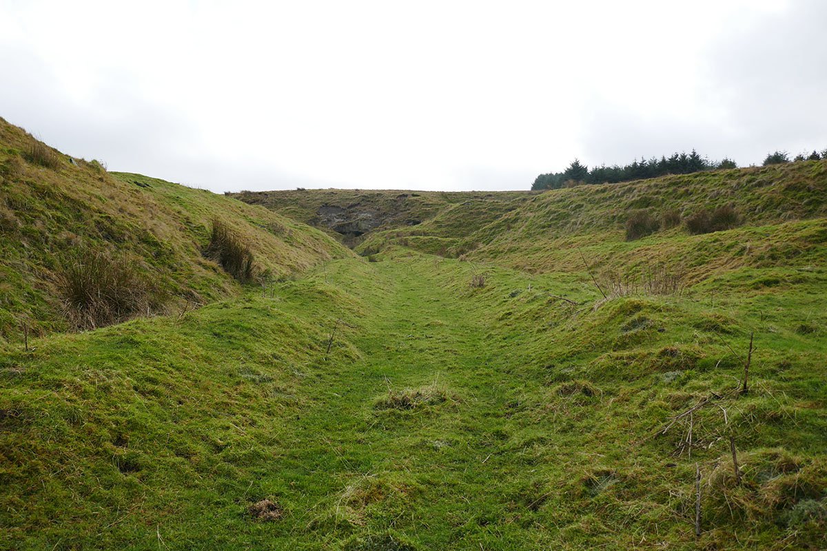 P1040317