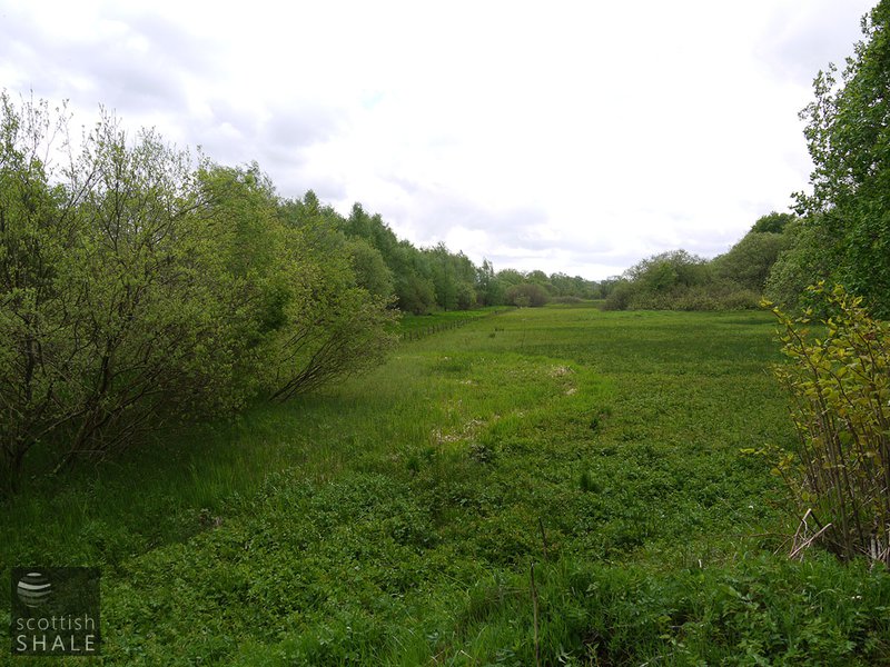 P1040517.JPG