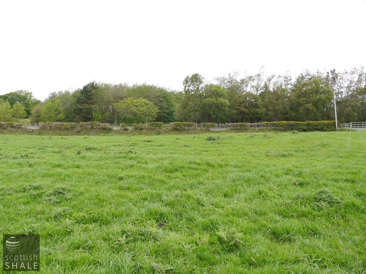 P1040853.jpg