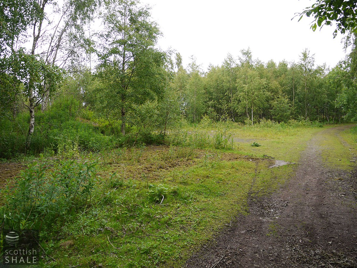 P1040965.JPG