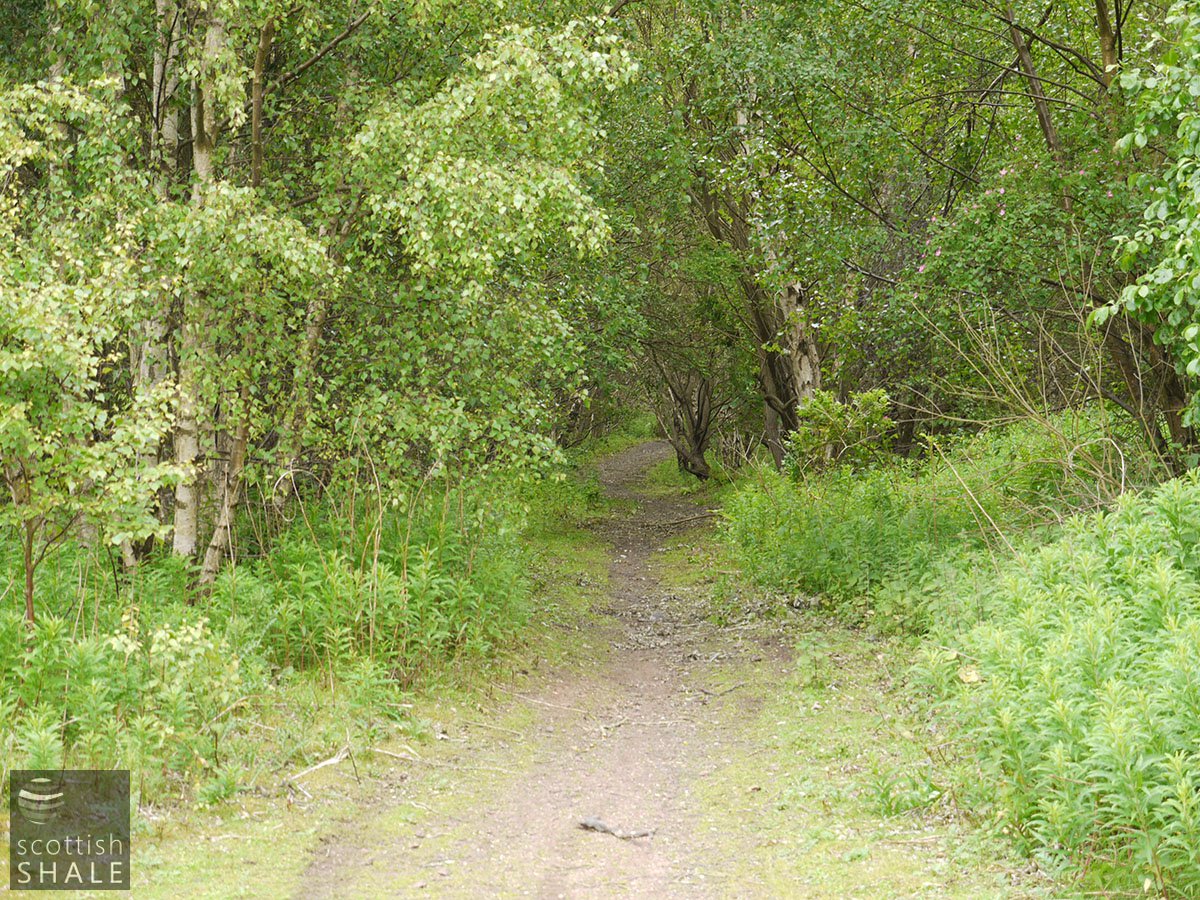 P1040977.JPG