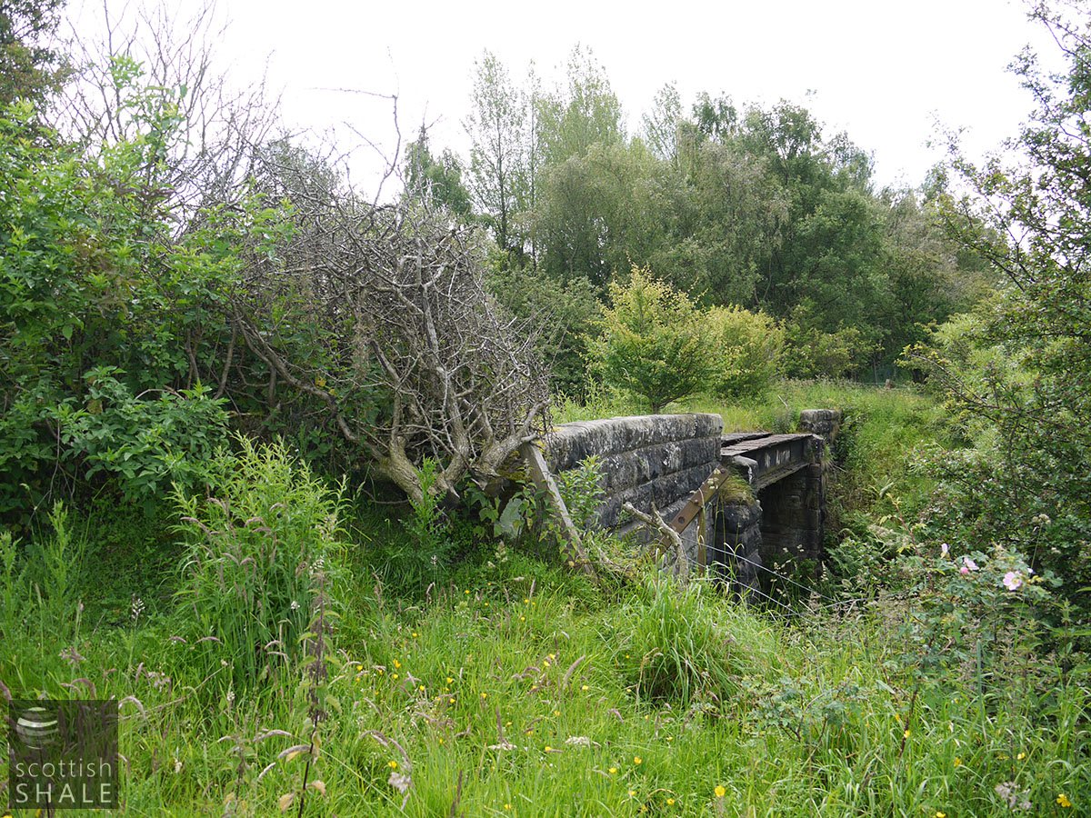 P1050122.JPG